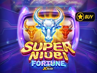 Super Niubi Fortune X Huge